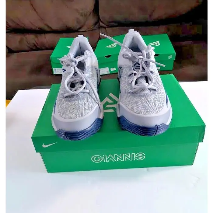 Nike Giannis Immortality 4 Wolf Grey/mtlc Platinum Size 7