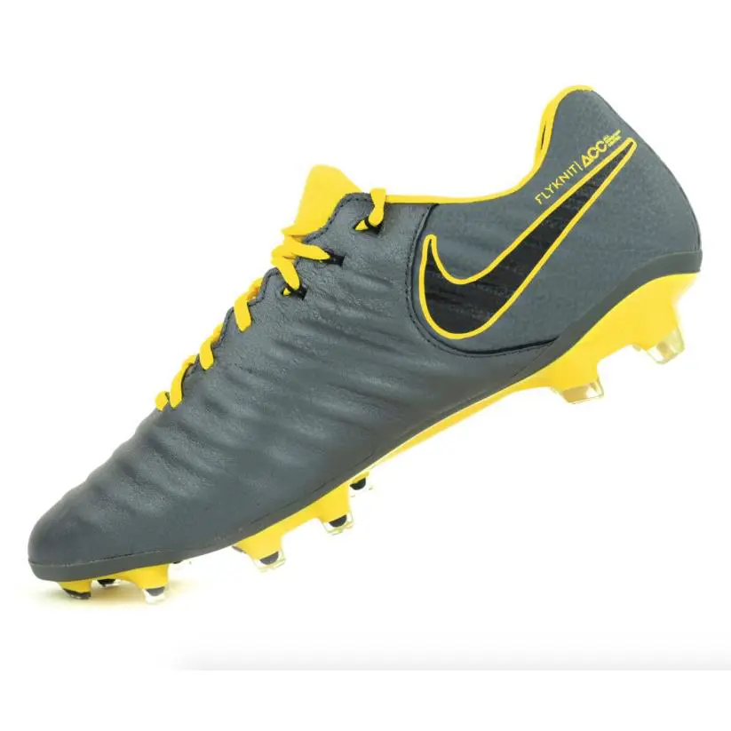 Nike shoes - Nike Legend - Legend - AH7238070 - Grey 1