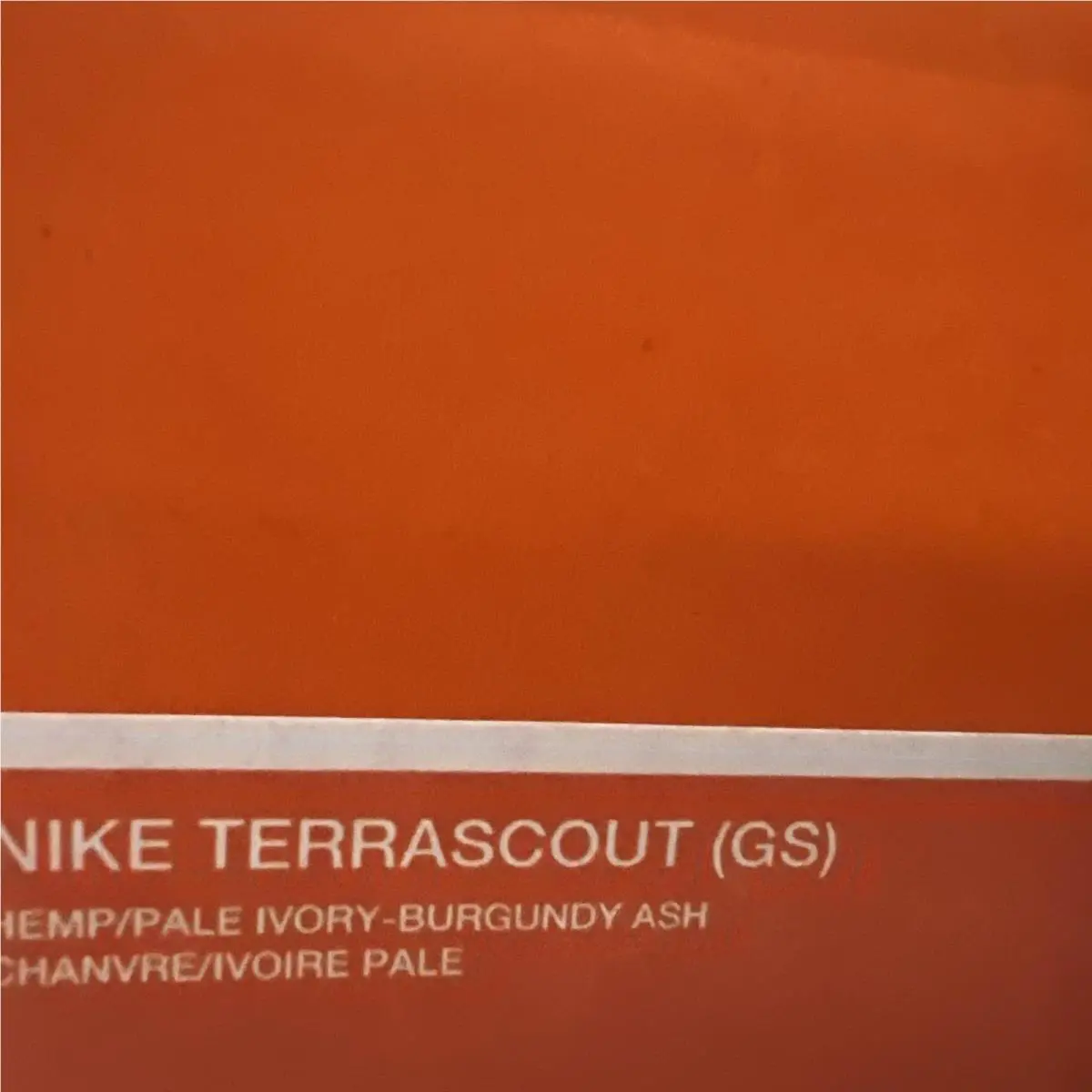 Nike shoes - Terrascout - Terrascout - FV4173-200 - Brown 6
