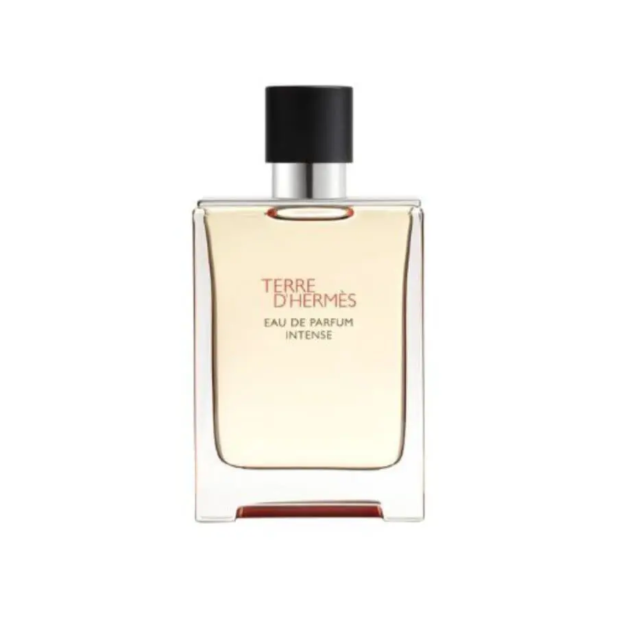 Hermes Men`s Terre D`hermes Intense Edp Spray 3.38 oz Tester Fragrances