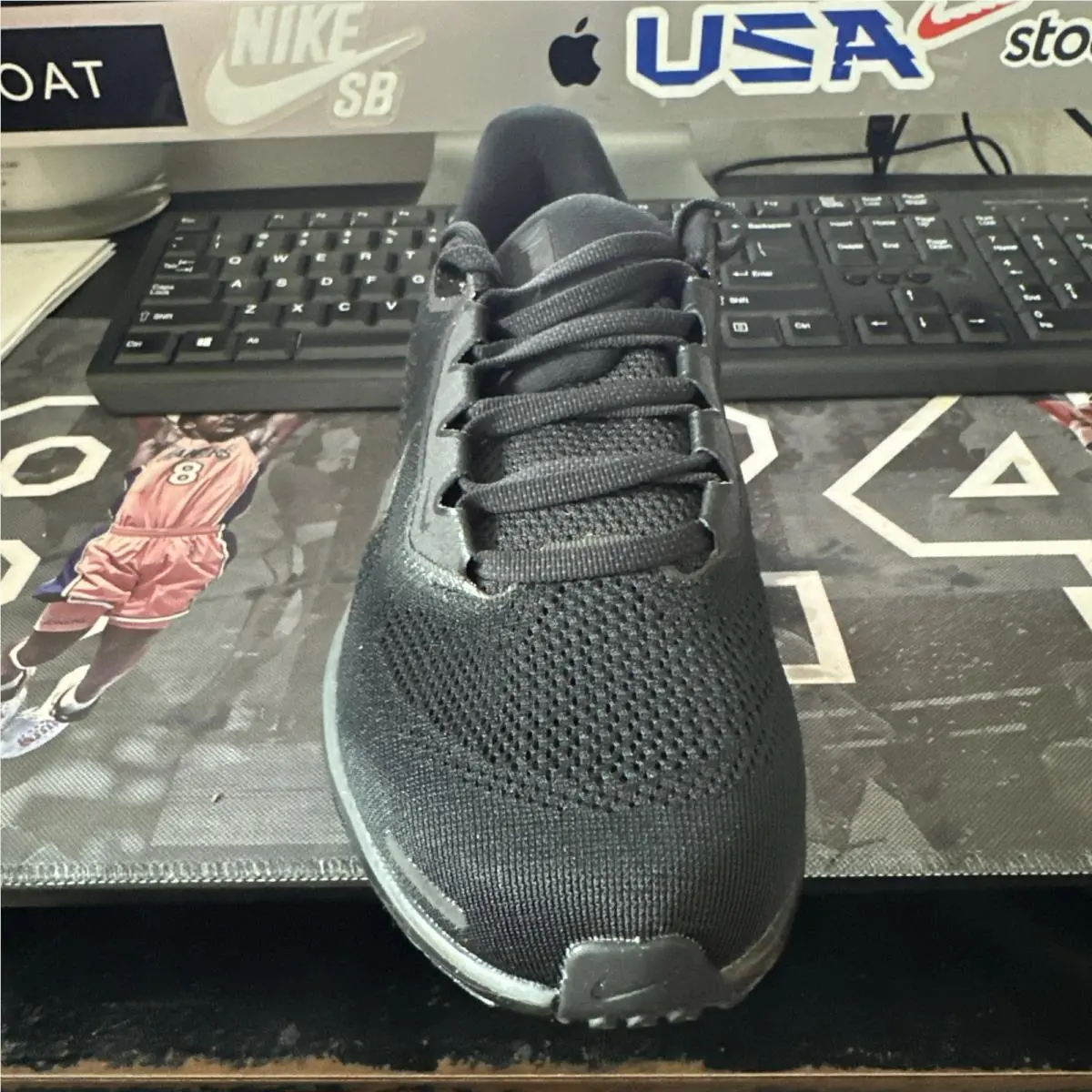 Nike shoes - Nike Air Zoom Pegasus 41 - FD2722001 - Black 1