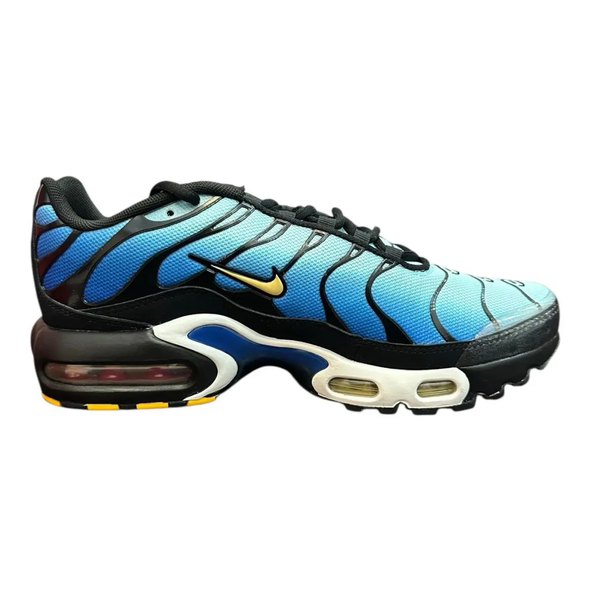 Nike shoes - Nike Air Max Plus - Air Max Plus - Blue 1