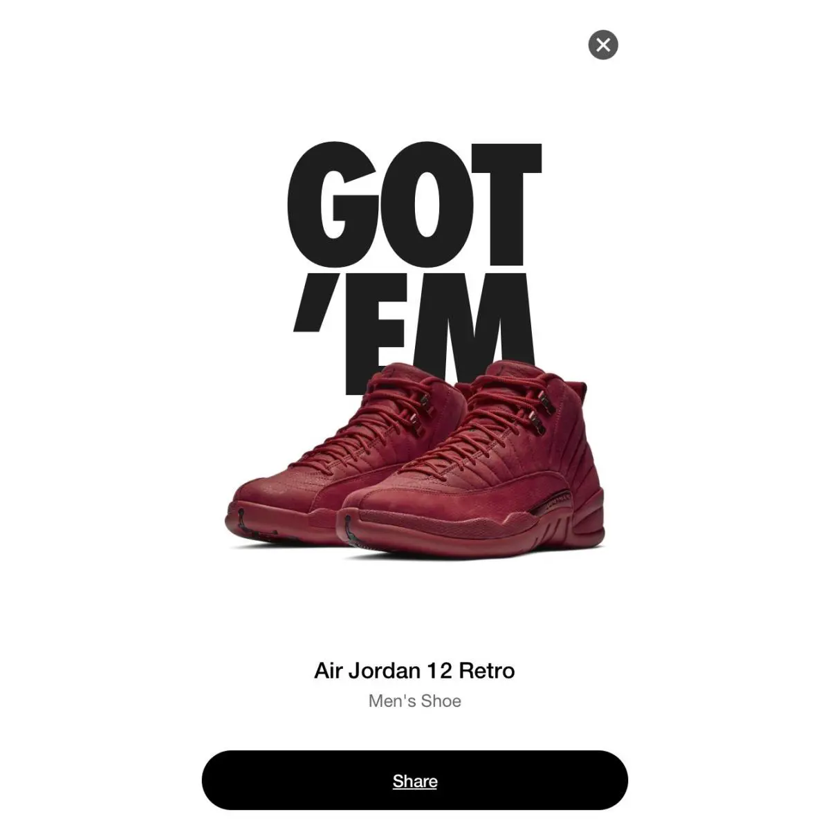 Nike shoes - Air Jordan 12 - Air - 130690601 - Red 9