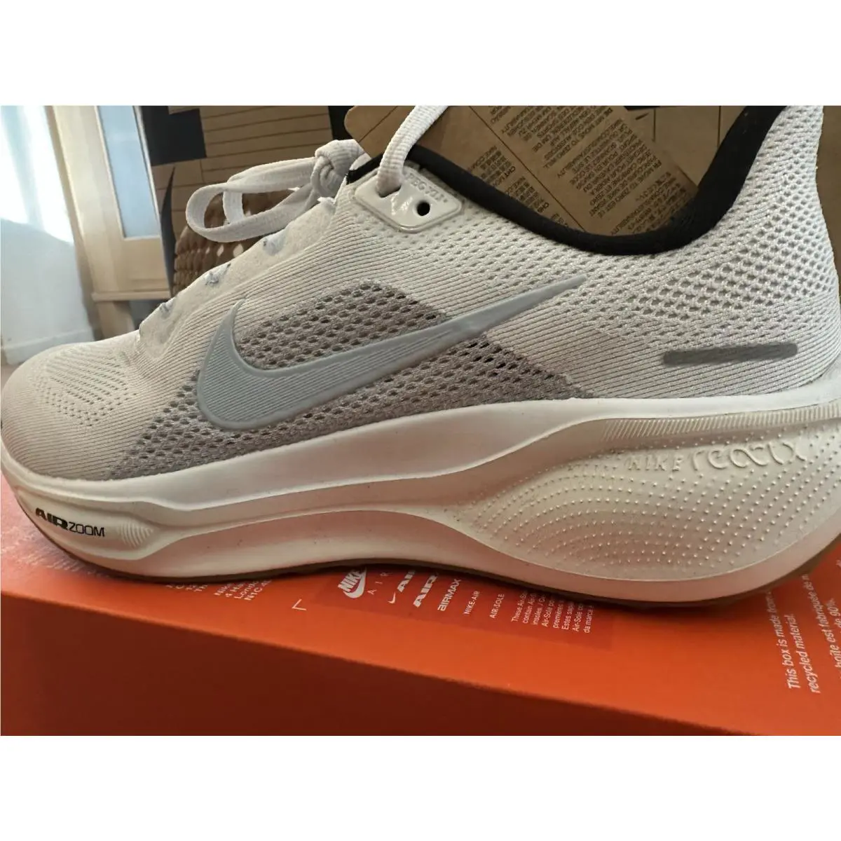 Nike shoes - Zoom Pegasus 41 - Zoom Pegasus - FD2723-112 - Blue Tint 0