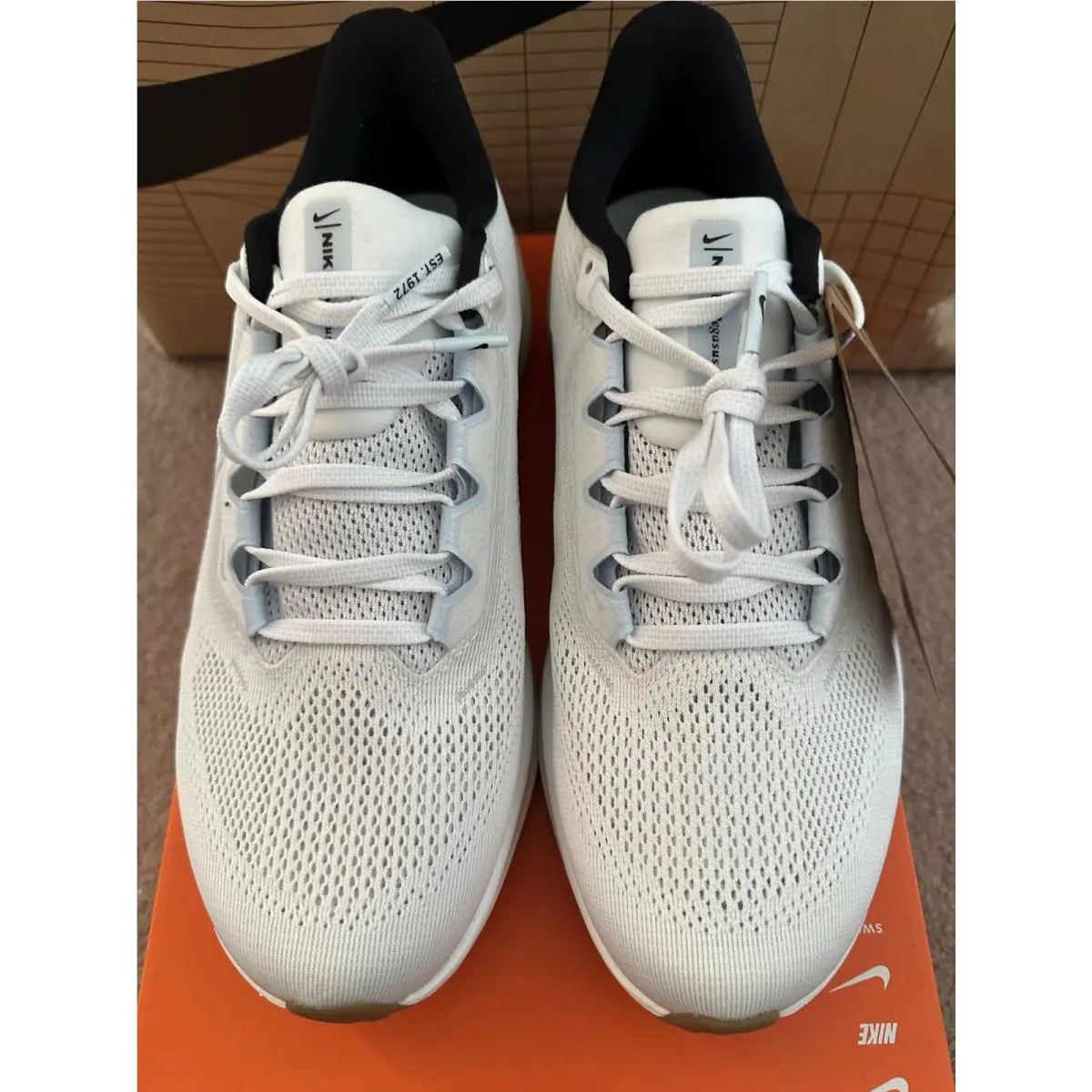 Nike shoes - Zoom Pegasus 41 - Zoom Pegasus - FD2723-112 - Blue Tint 1