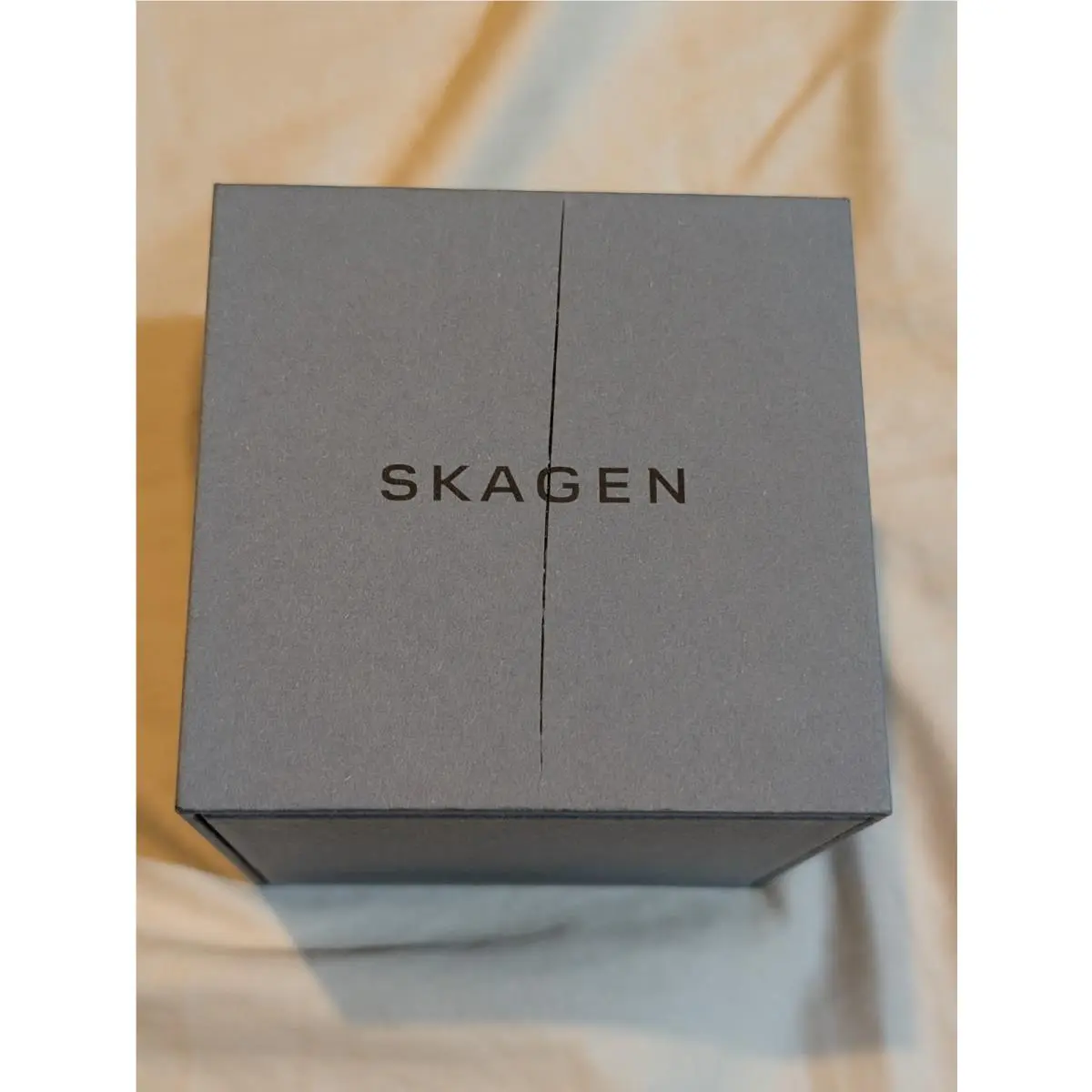 Skagen Skågen Holst Men’s Wristwatch- SKW6395 Blue Dial/brown Band