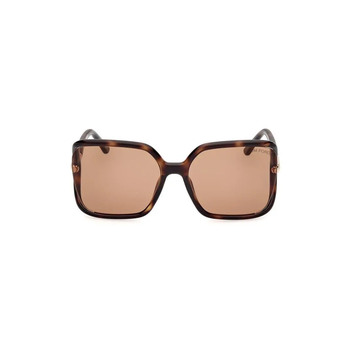 Tom Ford Women Solange-02 60mm Butterfly Sunglasses Shiny Dark Hav