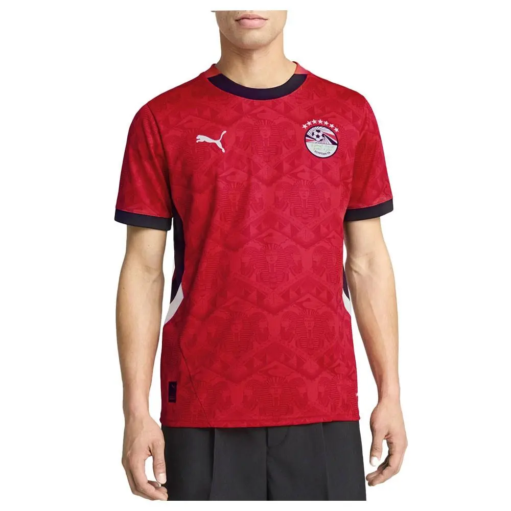 Puma clothing - PUMA Efa Home Crew Neck Short Sleeve Soccer Jersey - 77713201 - Red 5