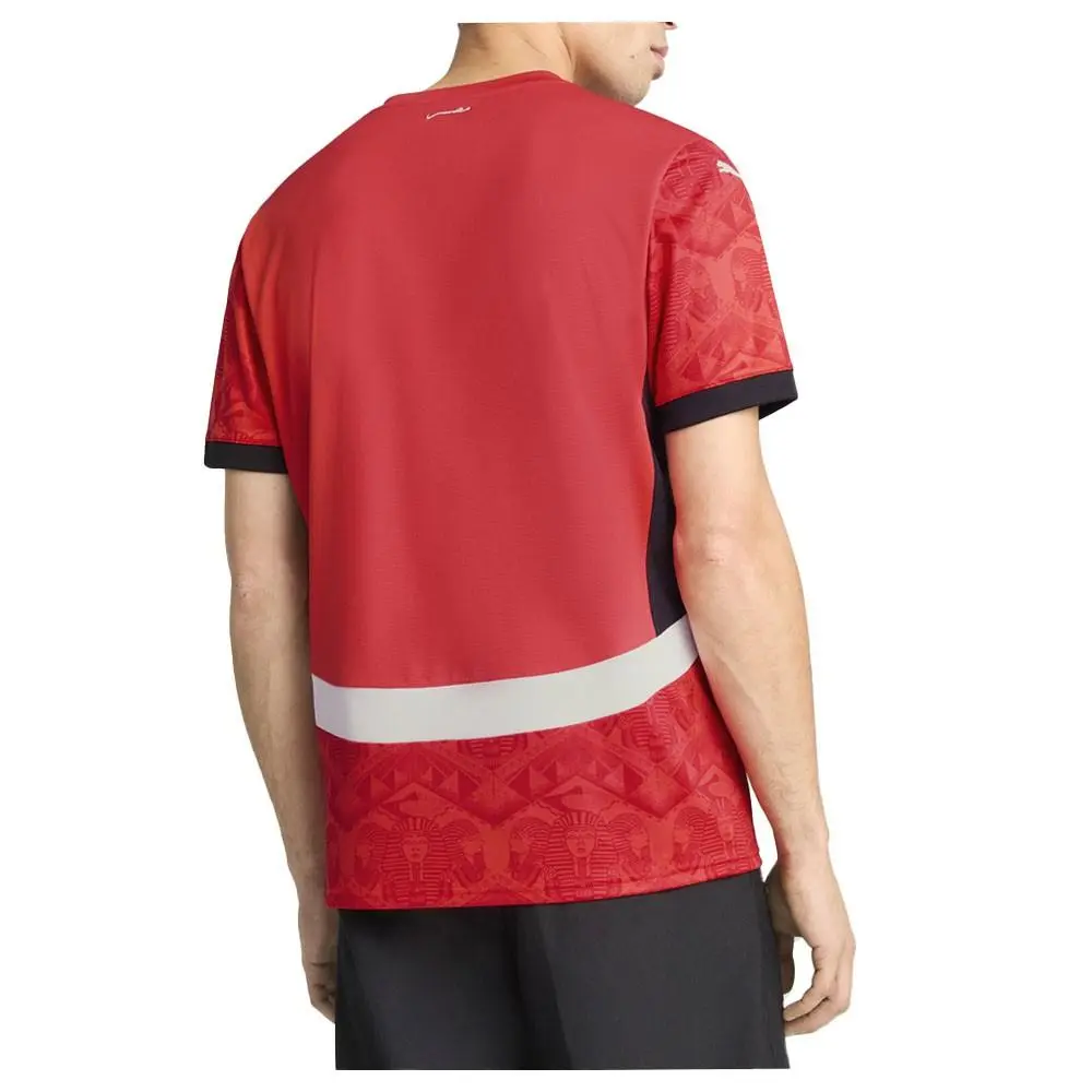 Puma clothing - PUMA Efa Home Crew Neck Short Sleeve Soccer Jersey - 77713201 - Red 6