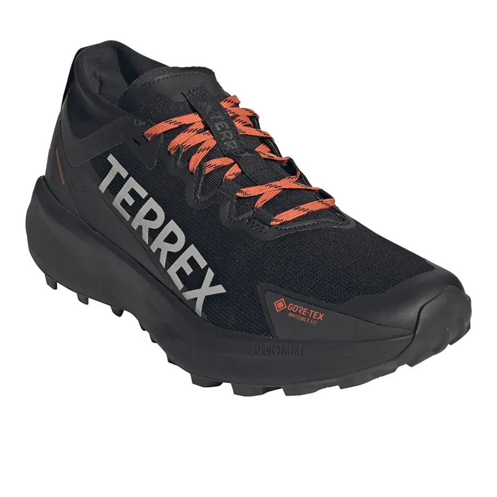 Adidas shoes - adidas Terrex Agravic Gtx Trail Running - IH2939 - Black 0