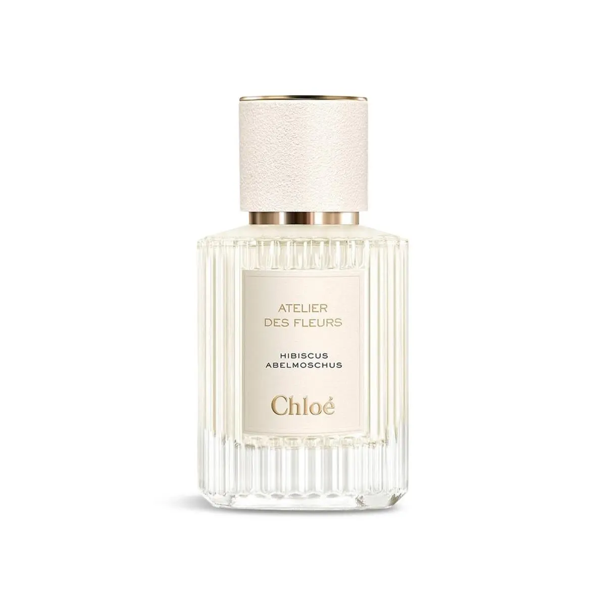 Chloe Ladies Hibiscus Abelmoschus Edp Spray 1.7 oz Fragrances 3614225343834