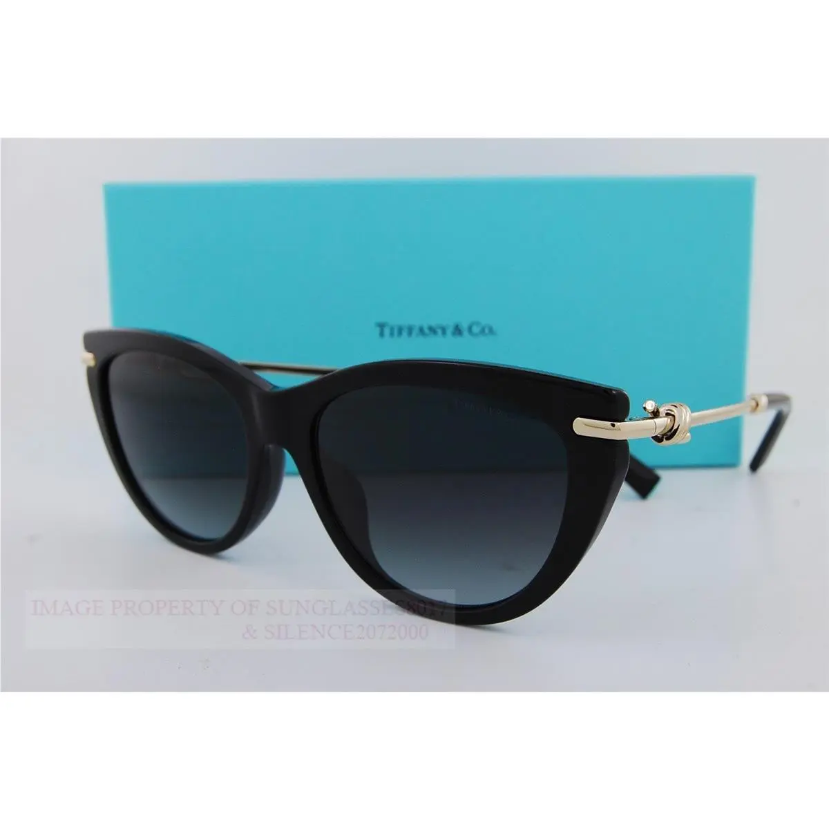 Tiffany Co. Sunglasses TF 4253F 80013C Black/grey For Women