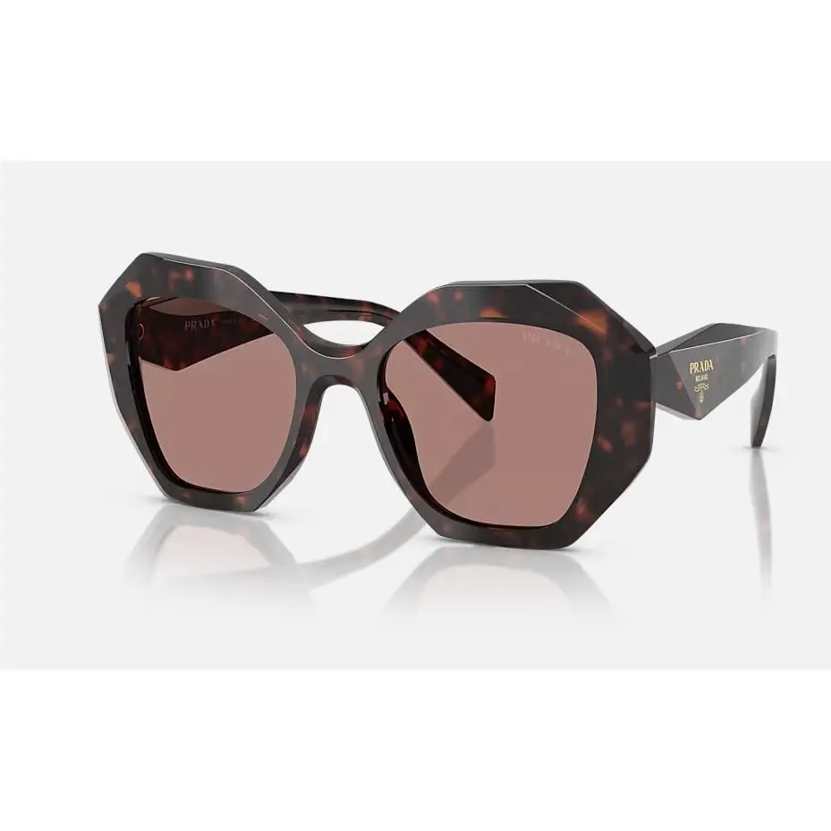 Prada PR 16WS 17N60B 53 Root Tortoise Frame Women Sunglasses
