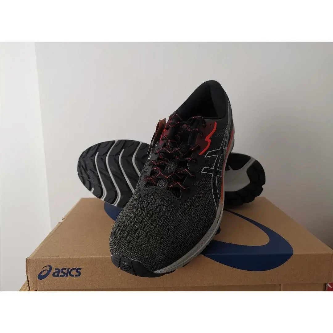 Asics shoes - Gray 1