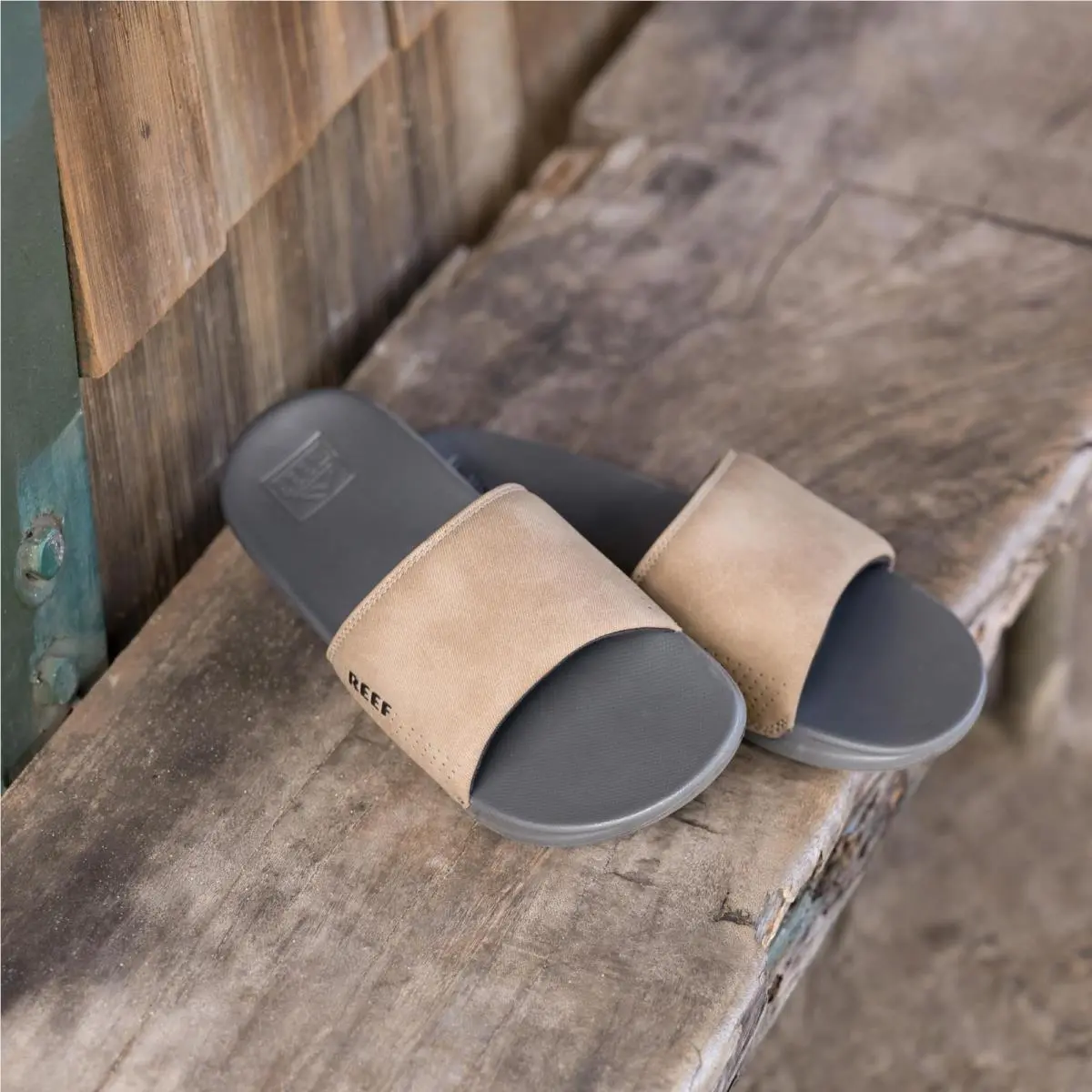 Reef shoes - Rf0A3Ond - Rf0A3Ond - Gta-Grey-Tan (UPC: 192824069933) 5