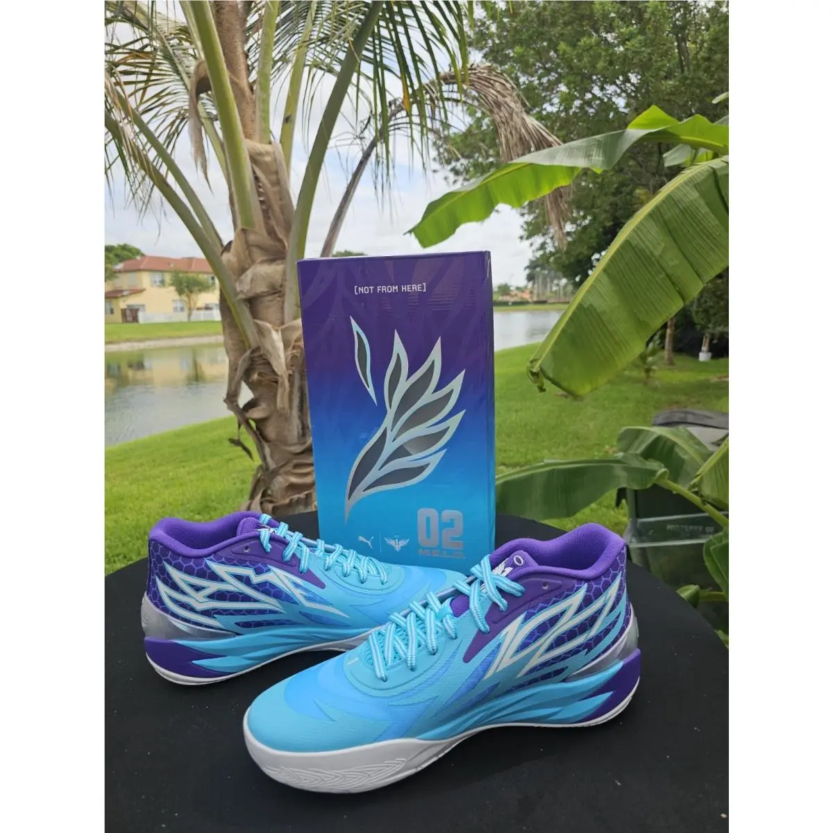 Mens Size 12 Puma Lamelo Ball MB.02 `queen City` Hornets Basketball Shoes Blue