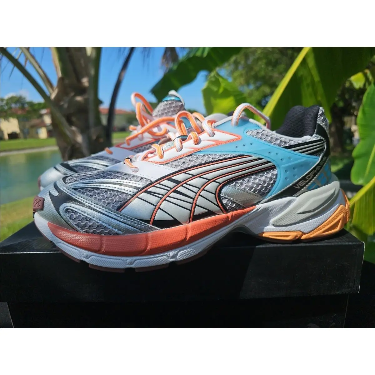 Puma shoes - PUMA Velophasis - Velophasis - 389365-02 - MULTI 5