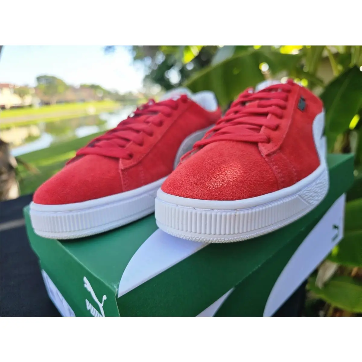 Puma shoes - PUMA Suede - Suede - 398873-01 - Red 12
