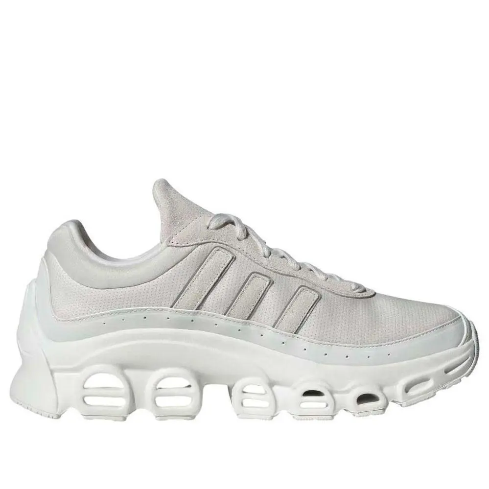 Adidas shoes - Wh/Sl 2