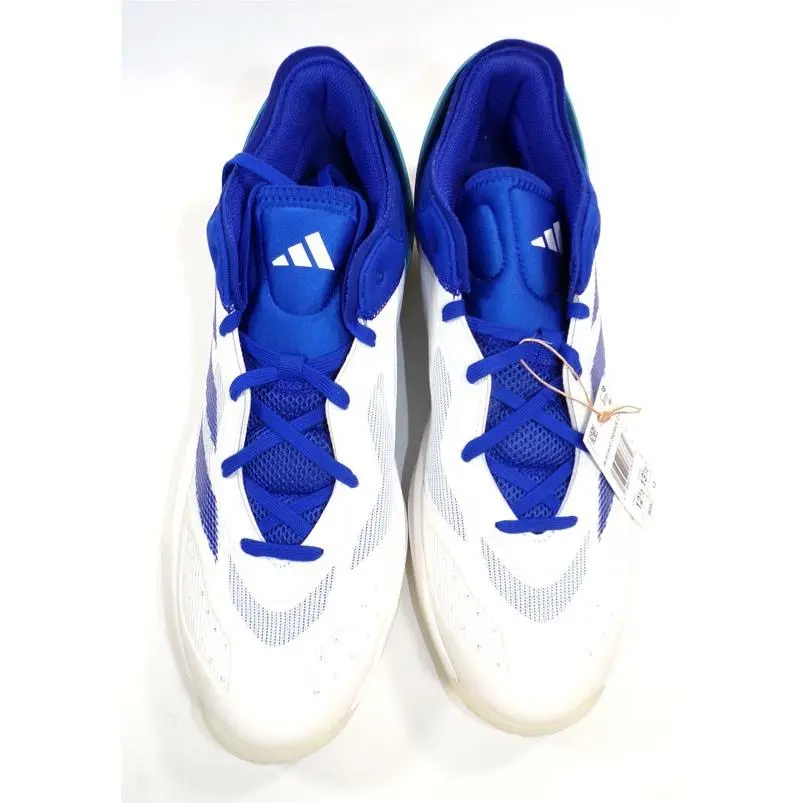 Adidas shoes 2