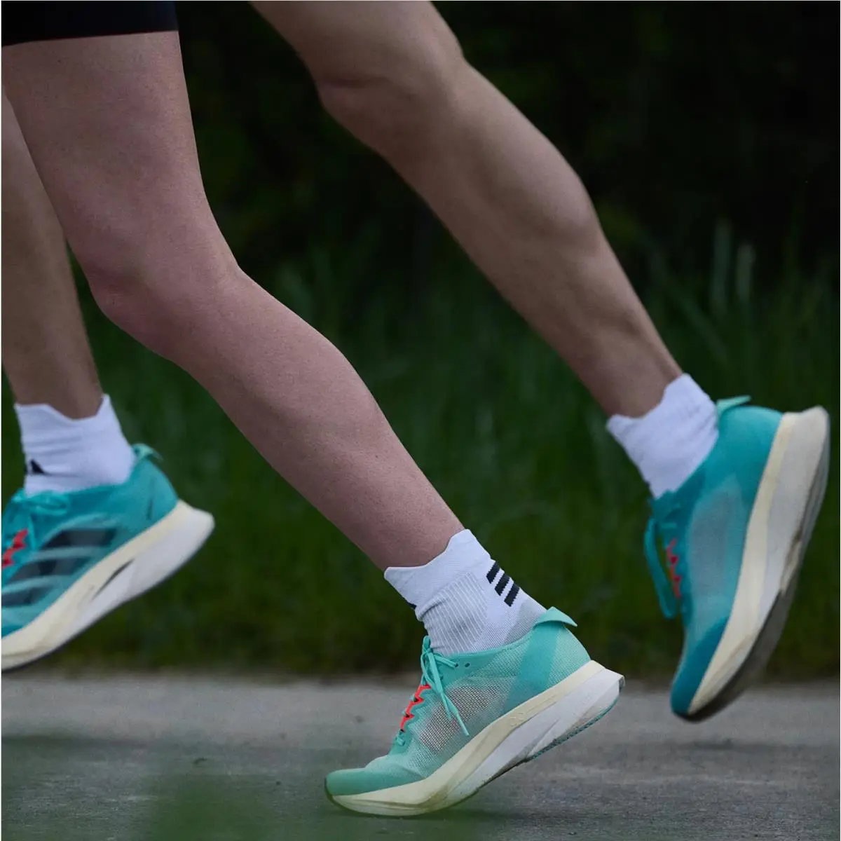 Adidas shoes - adidas Adizero Boston 12 - Adizero Boston - H03612 - Lucid Cyan/Core Black/Flash Aqua 5