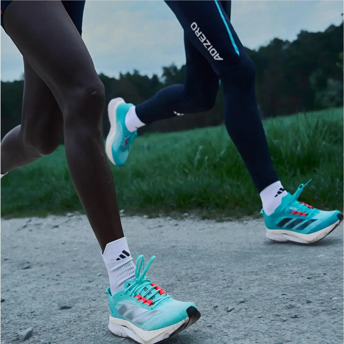 Adidas shoes - adidas Adizero Boston 12 - Adizero Boston - H03612 - Lucid Cyan/Core Black/Flash Aqua 6
