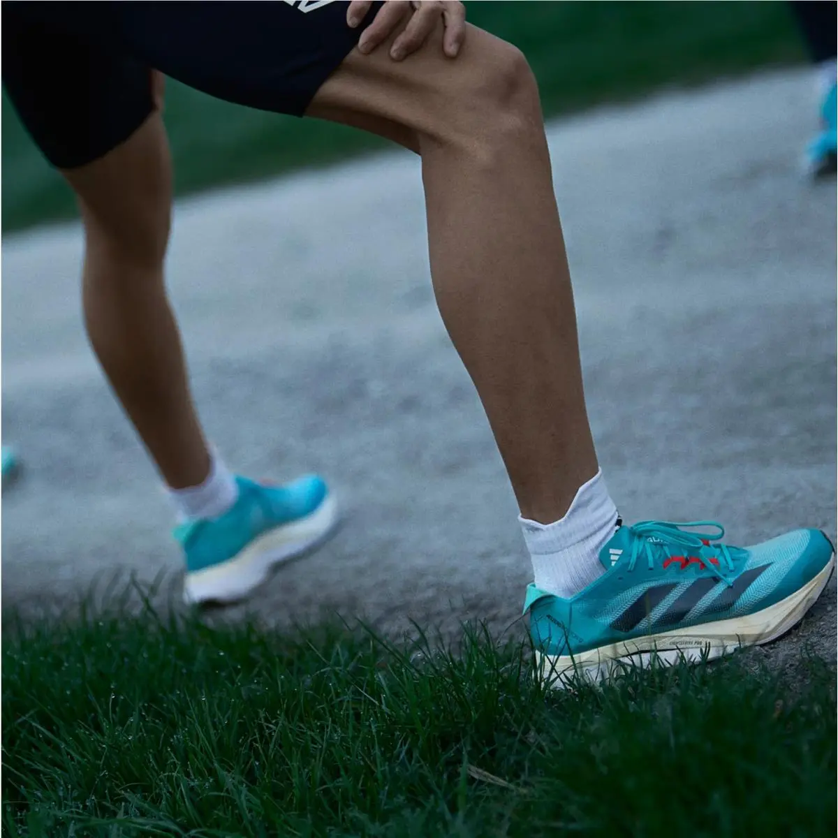 Adidas shoes - adidas Adizero Boston 12 - Adizero Boston - H03612 - Lucid Cyan/Core Black/Flash Aqua 7