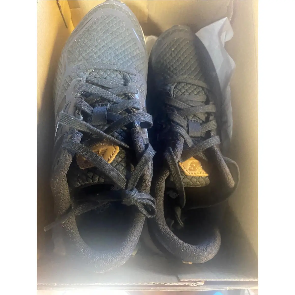 New Balance shoes - New Balance Fresh Foam VENIZ - WVNZCB1 - Gray 0