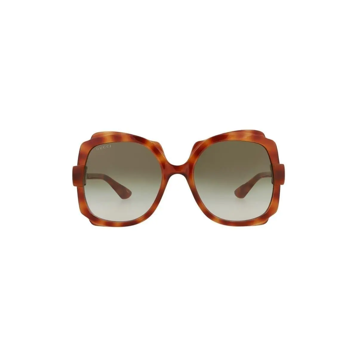 Gucci Women 57mm Butterfly Sunglasses Havana Havana Brown