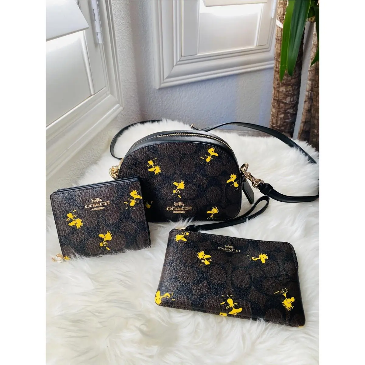X Peanuts Crossbody+wallet+wristlet Signature Canvas Woodstock Print by Coach