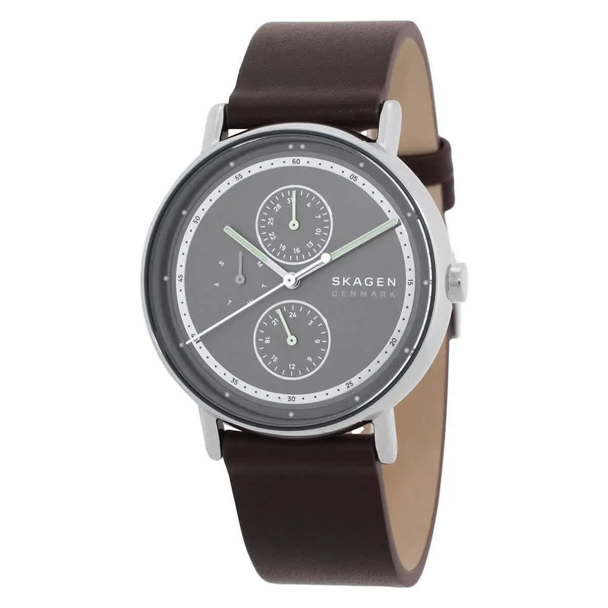 Skagen Signatur Multifunction Quartz Grey Dial Men`s Watch SKW6941