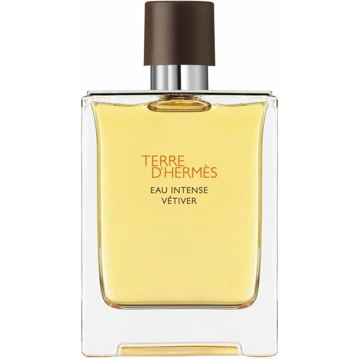 Terre D`hermes Eau Intense Vetiver Hermes Cologne Men Edp 3.3 / 3.4 oz