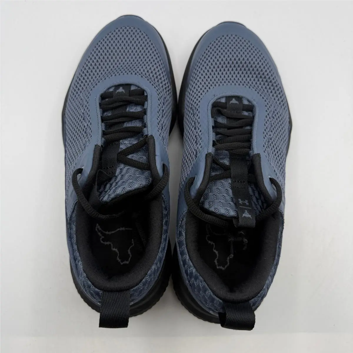 Under Armour shoes - UA Project Rock BSR 5 - Gray 2