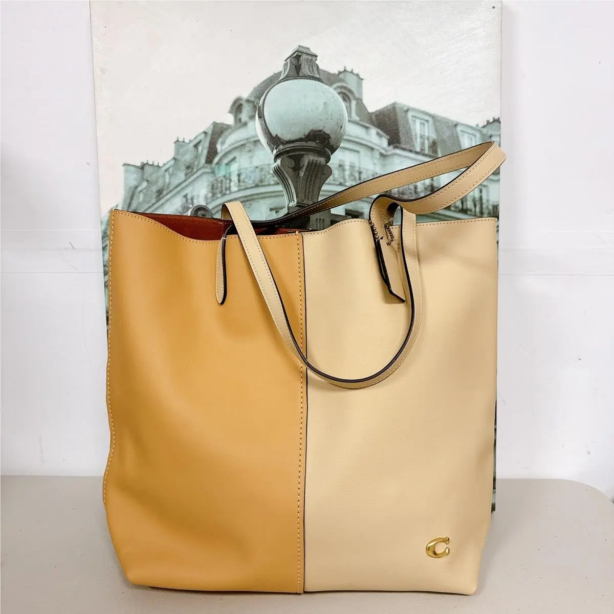 Coach CN423 North Tote In Colorblock