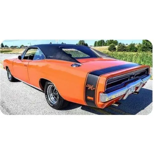 Hot Wheels 22nd Charlotte Nationals Convention 69 Dodge Charger R/t Quick Ship
