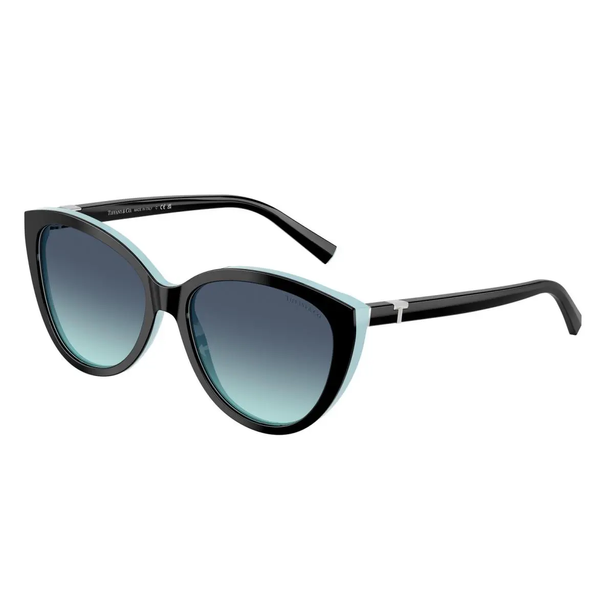 Tiffany 4251F Sunglasses 80559S Black