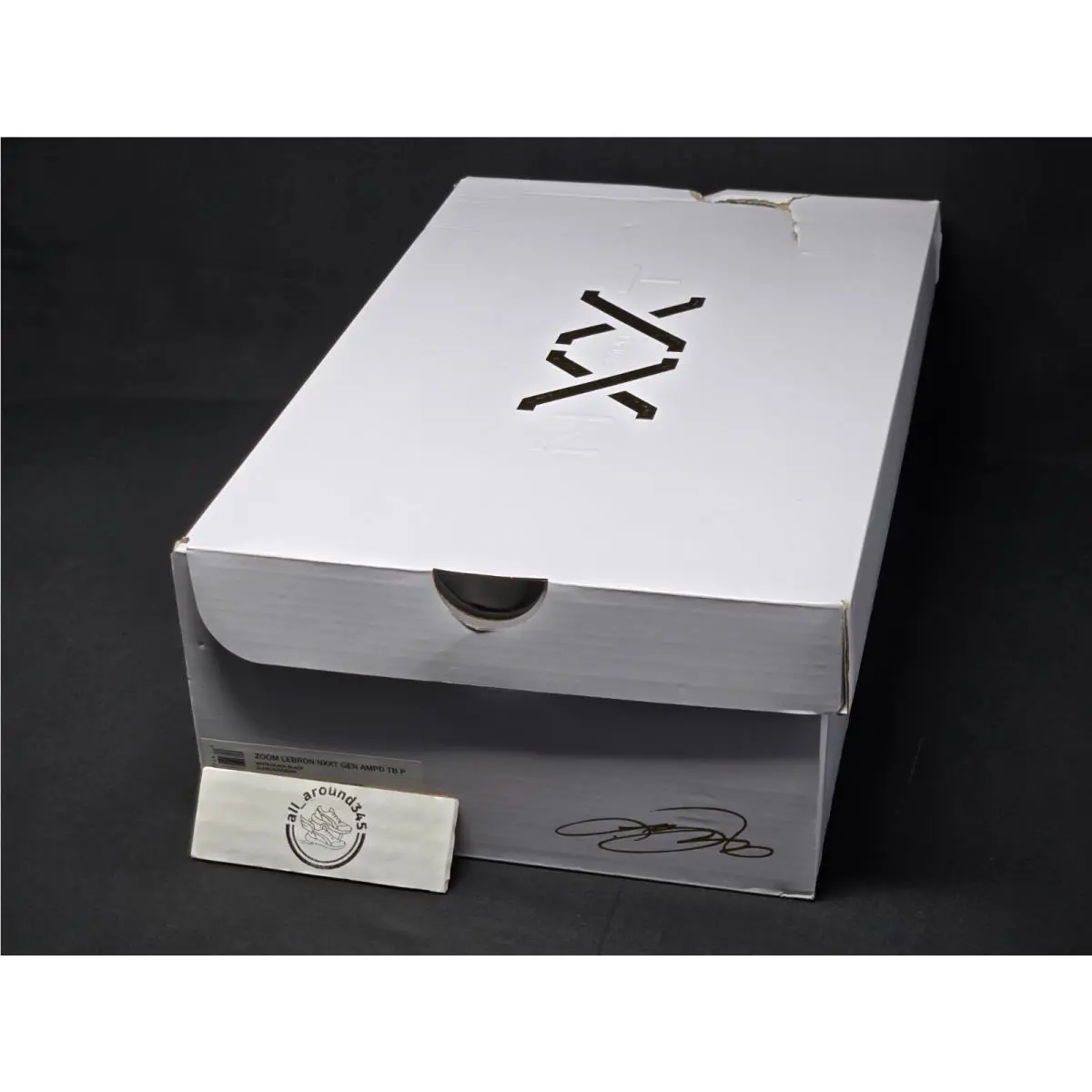 Nike shoes - Nike Zoom LeBron NXXT Gen - HJ9942-100 - White 6
