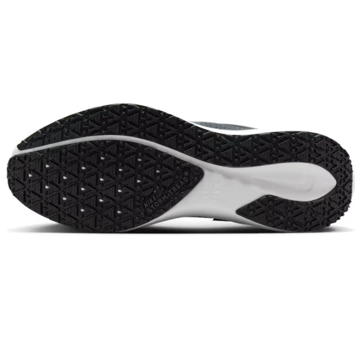 Nike shoes - Nike Pegasus 41 GORE-TEX - Pegasus - Black, Manufacturer: Black/Anthracite/Iron Grey/Summit White 9