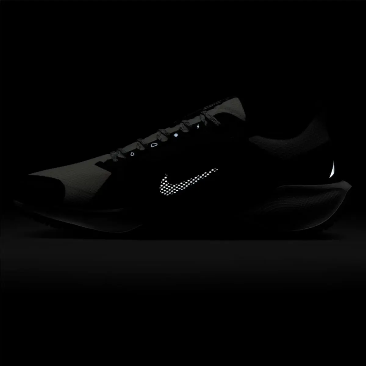 Nike shoes - Nike Pegasus 41 GORE-TEX - Pegasus - Black, Manufacturer: Black/Anthracite/Iron Grey/Summit White 12