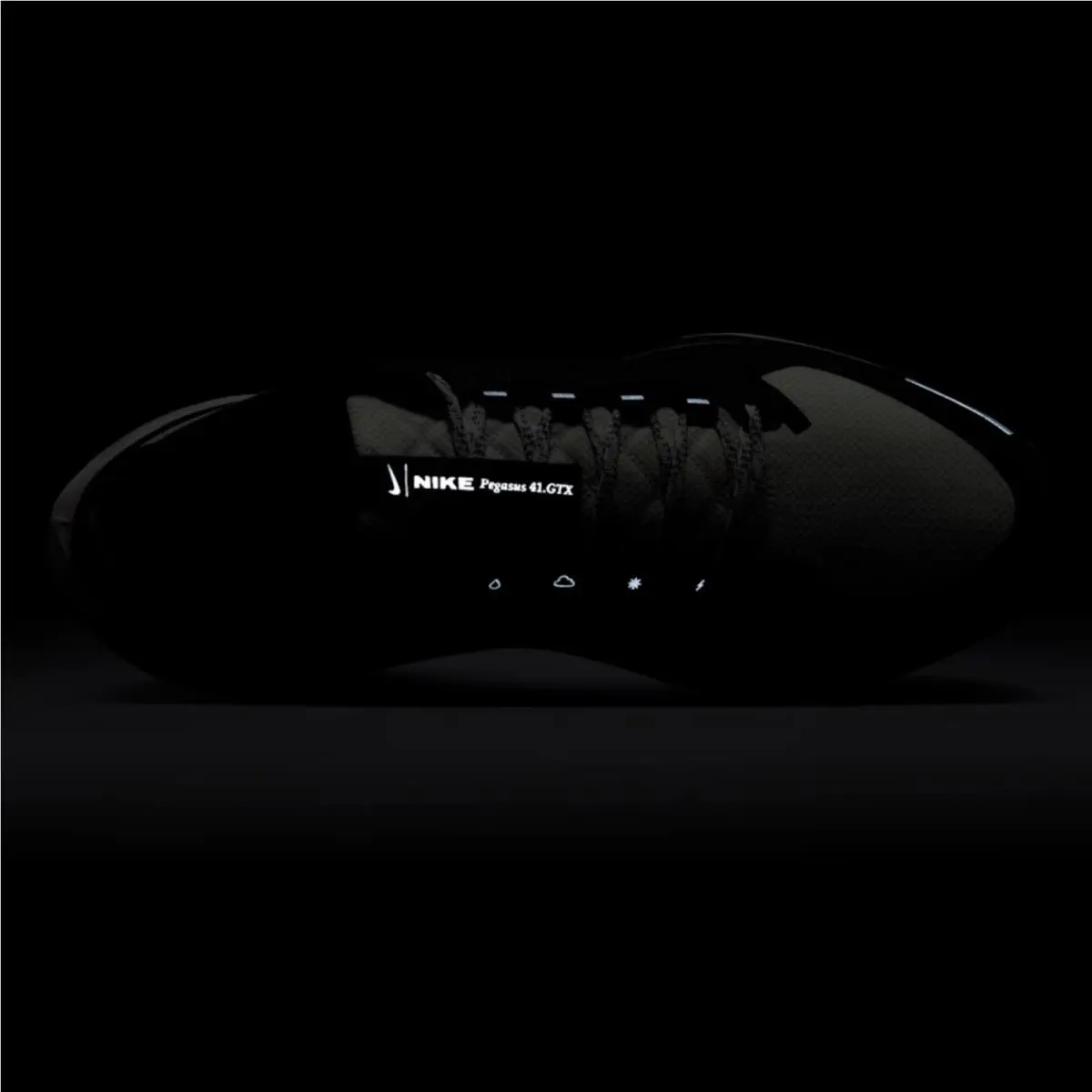 Nike shoes - Nike Pegasus 41 GORE-TEX - Pegasus - Black, Manufacturer: Black/Anthracite/Iron Grey/Summit White 3