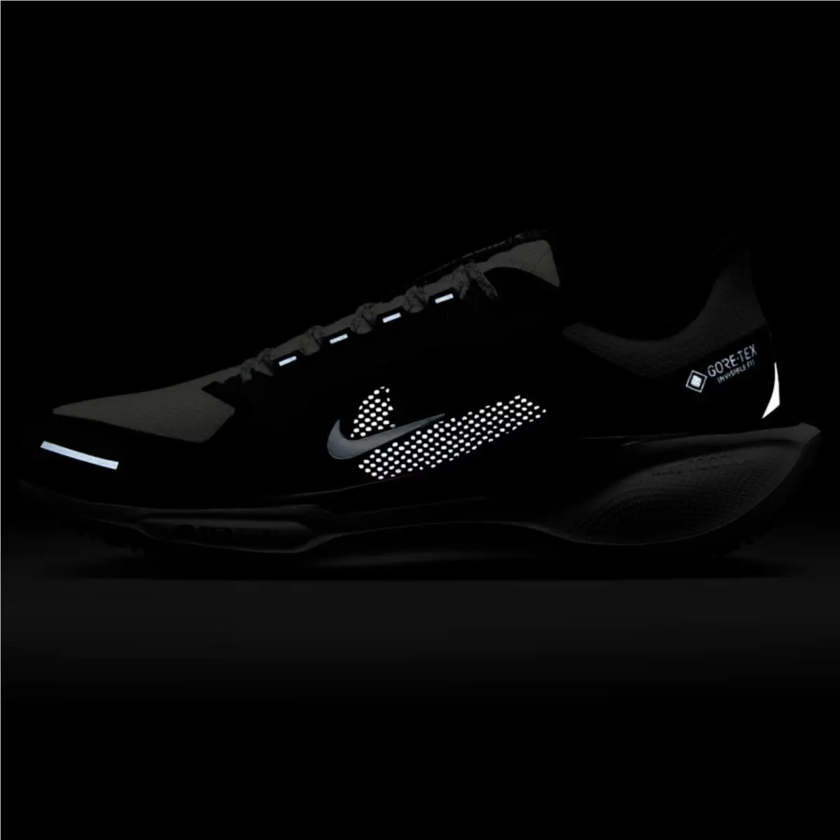 Nike shoes - Nike Pegasus 41 GORE-TEX - Pegasus - Black, Manufacturer: Black/Anthracite/Iron Grey/Summit White 24