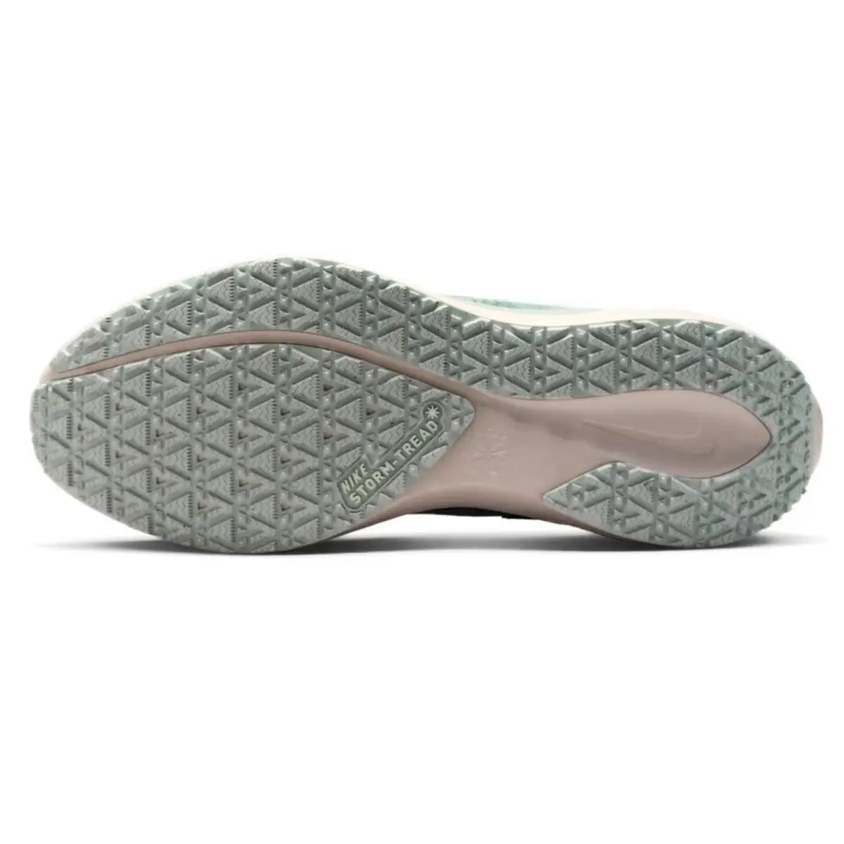 Nike shoes - Nike Pegasus 41 GORE-TEX - Pegasus - Blue, Manufacturer: Light Pumice/Pure Platinum/Silt Red/Metallic Silver 27