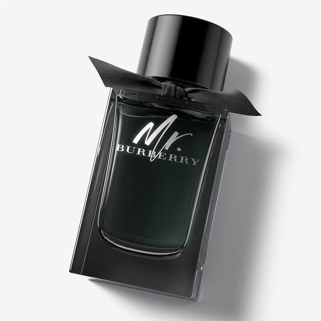 Burberry Men`s Mr. Burberry Edp Spray 5.0 oz Fragrances 3616301838203