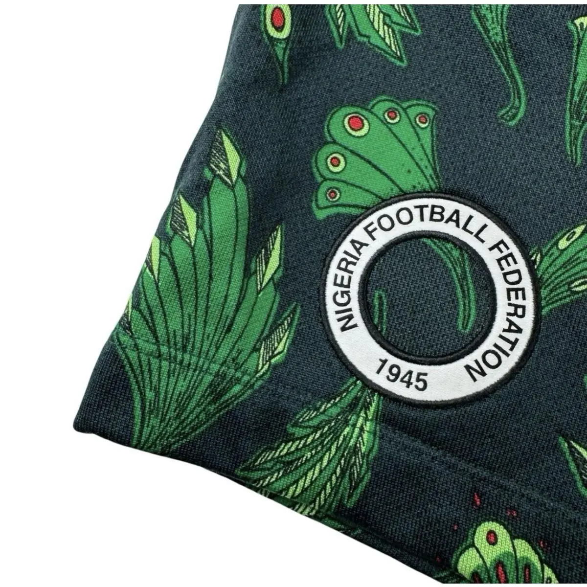 Nike clothing - Nike Nigeria Shorts - Nigeria Shorts - CU1408 364 - Multicolor 5