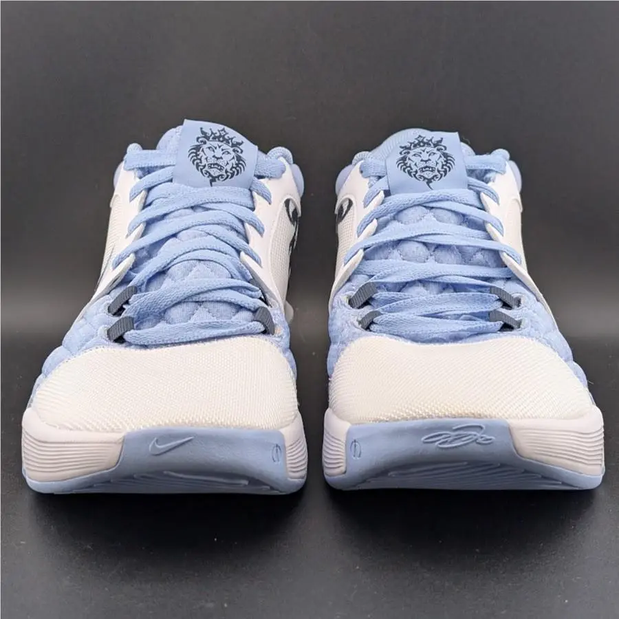 Nike shoes - Nike LeBron Witness 8 - LeBron Witness - HQ2139-100 - White 10