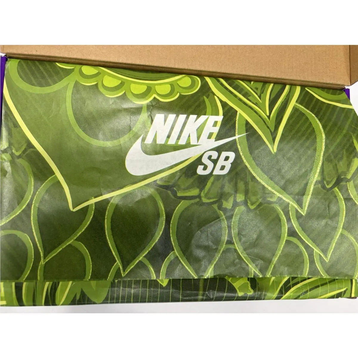 Nike shoes - Nike SB Dunk - Dunk - IB6206-701 - Beige 7