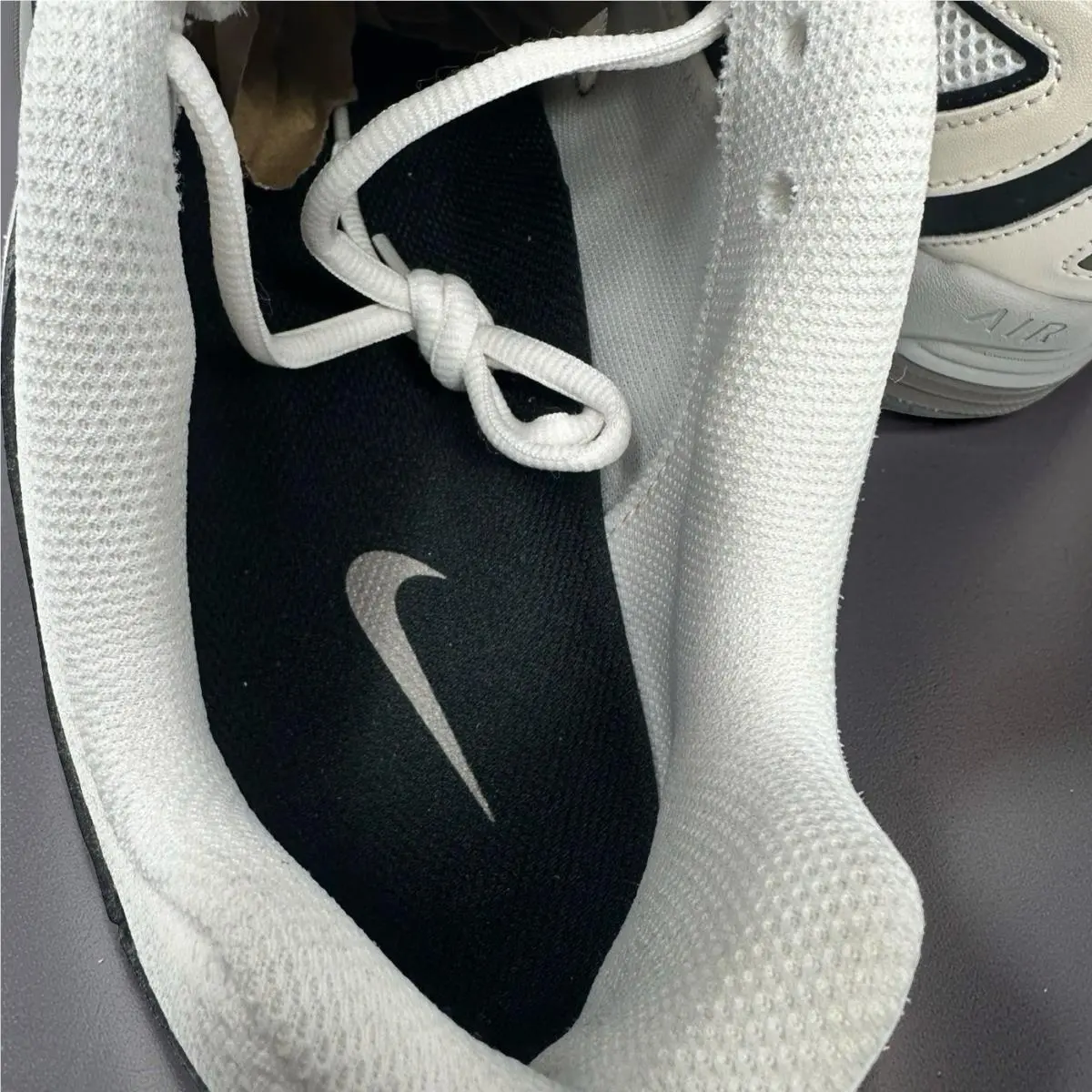 Nike shoes - Nike Air Pegasus 2k5 - Air Pegasus - White 10