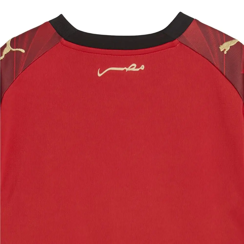 Puma clothing - PUMA Egypt Home Crew Neck Short Sleeve Soccer Jersey Youth - 78355401 - Red 2