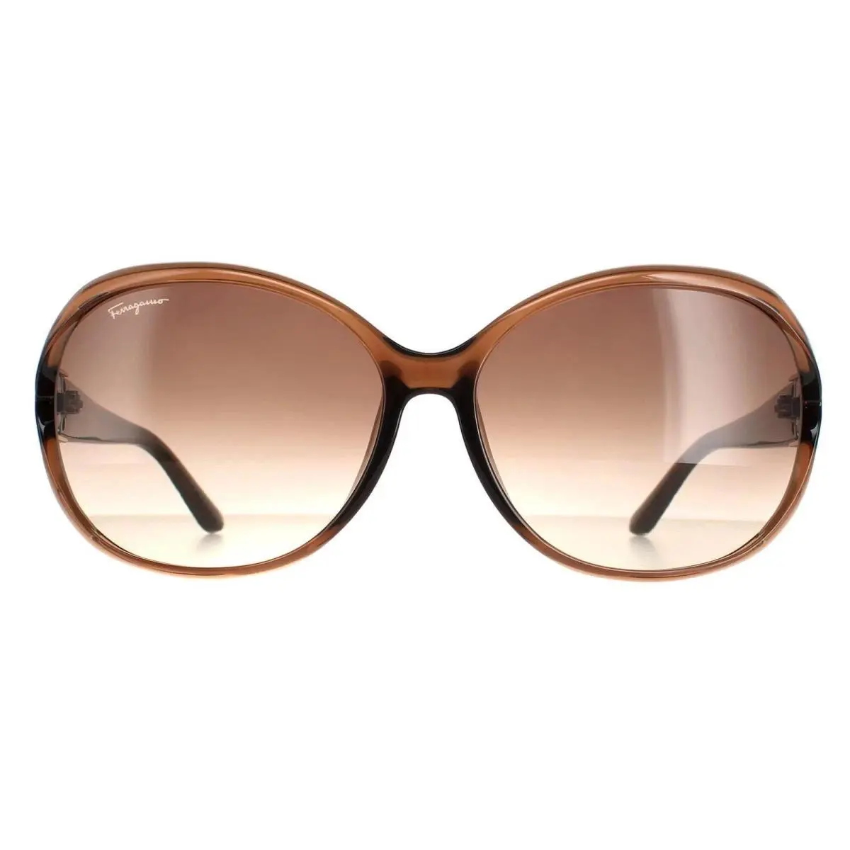 Newe and  SF770 SA 213 Light Brown 61 15 135 by Salvatore Ferragamo