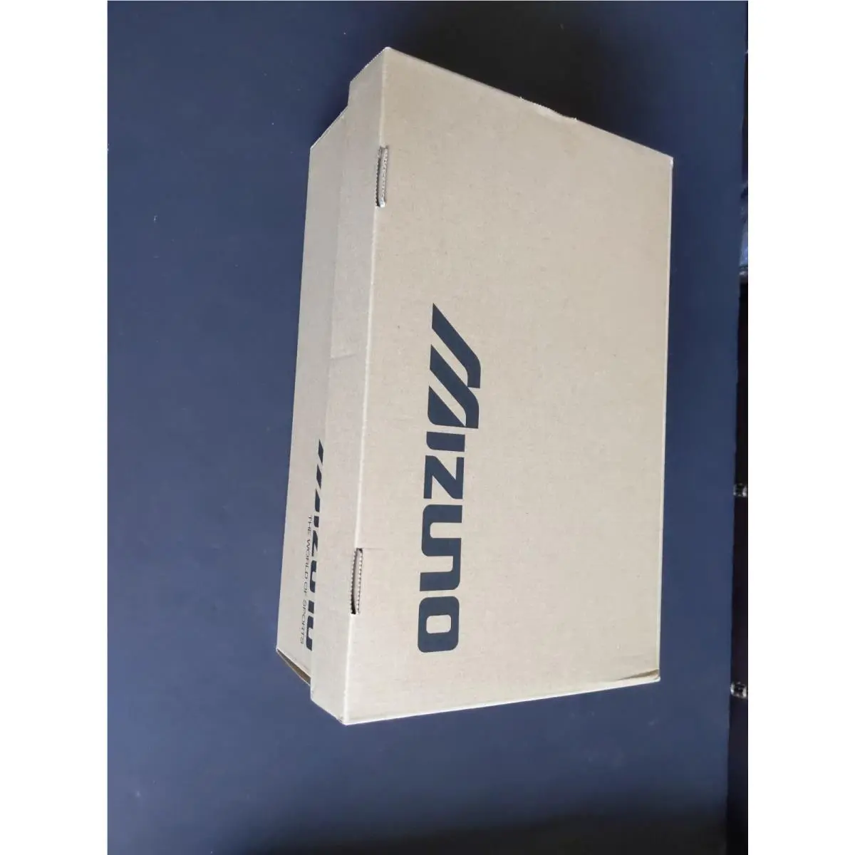 Mizuno shoes - Mizuno Wave Rider 10 - Wave Rider - D1GA227706 - Gray 18